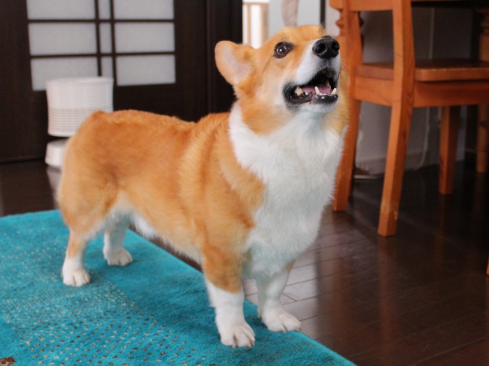 ポーズもばっちり決まりました