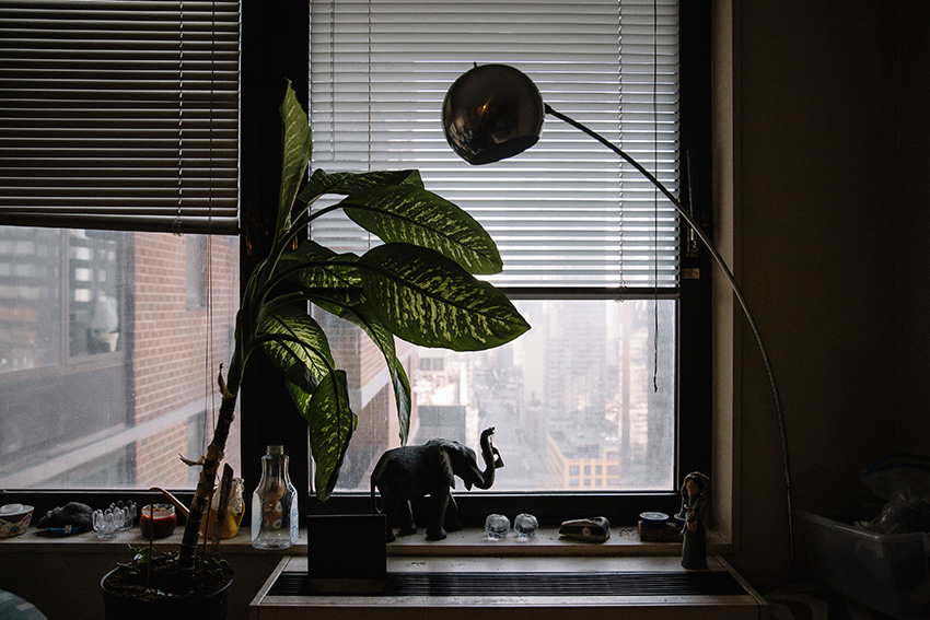 NY_GUARDIANSHIP_3-2