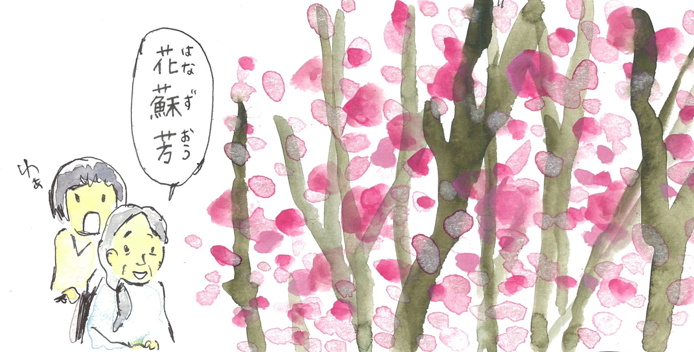 花水木 2枚目