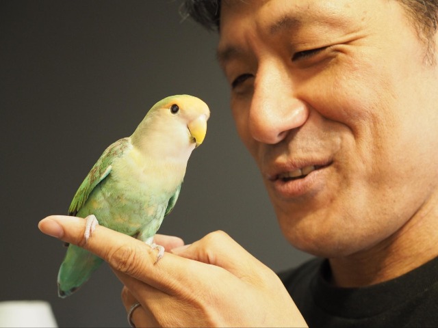 「撮りたいのはインコの生涯」 10年間、一羽のインコ「おとちゃん」を撮り続ける写真家