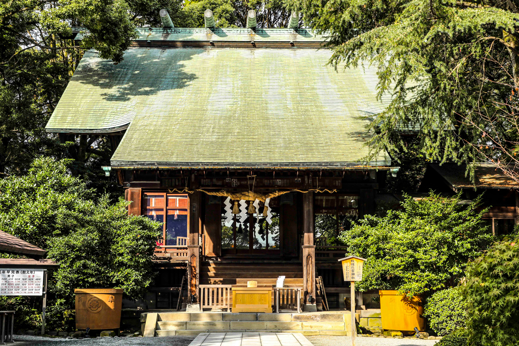 写真・図版