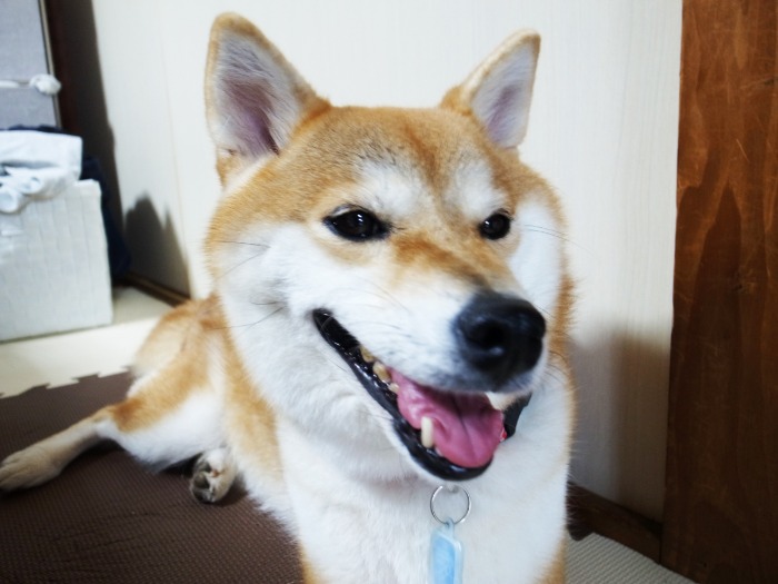 笑顔が素敵