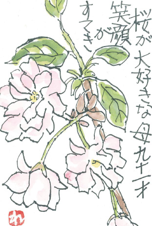 「桜」 絵手紙・見手紙