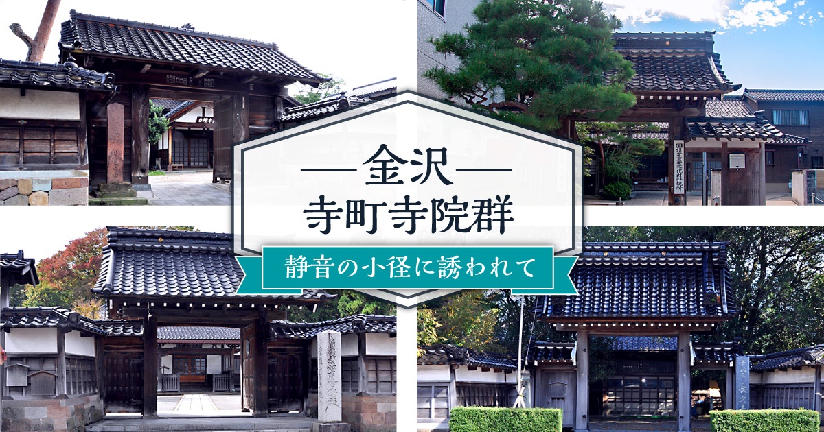 朝日新聞デジタル