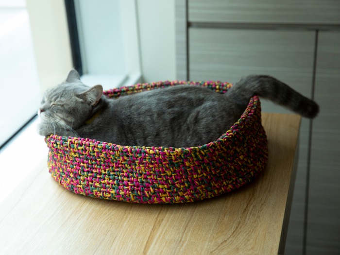 「手編みのかわいい猫ハウス」から、撮影/白井由香里