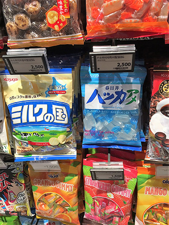 iwasa3_9