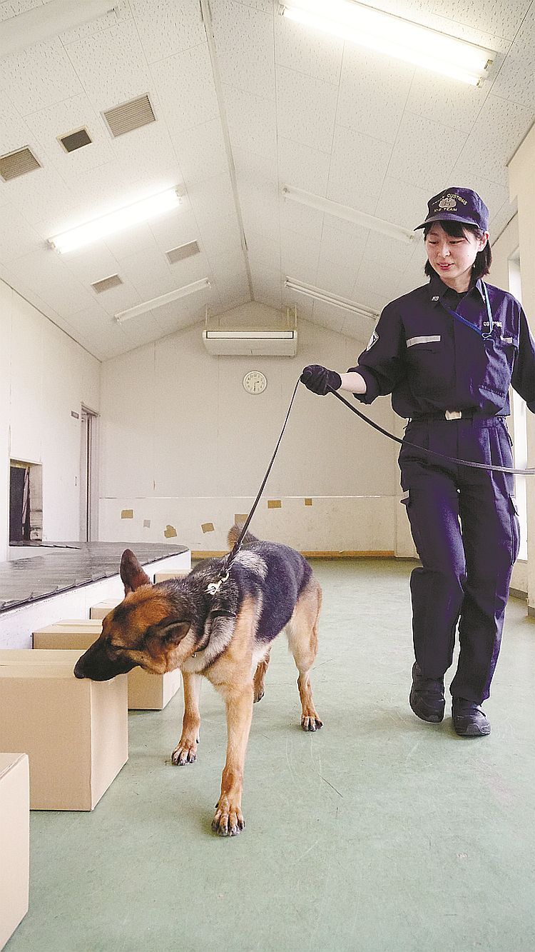 麻薬探知犬とハンドラーの中野さん