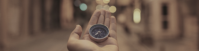 NAVI