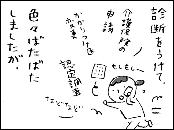 診断をうけて、介護保険の申請、かかりつけ医変更、認定調査などなど、色々ばたばたしましたが、