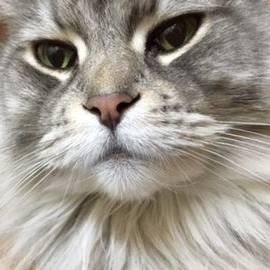 小宮 みぎわ