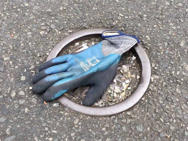 築地は「片手袋の聖地」だ! 市場に落ちてる手袋に「人生」が刻まれている