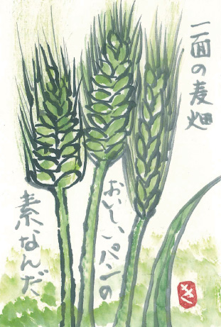 「麦畑」 絵手紙・見手紙