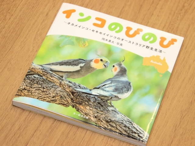 写真集『インコのびのび』