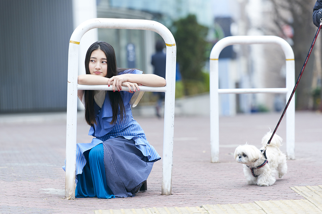 写真・図版