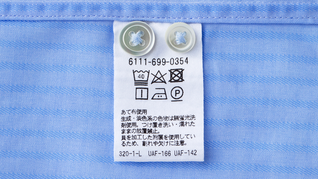 写真・図版