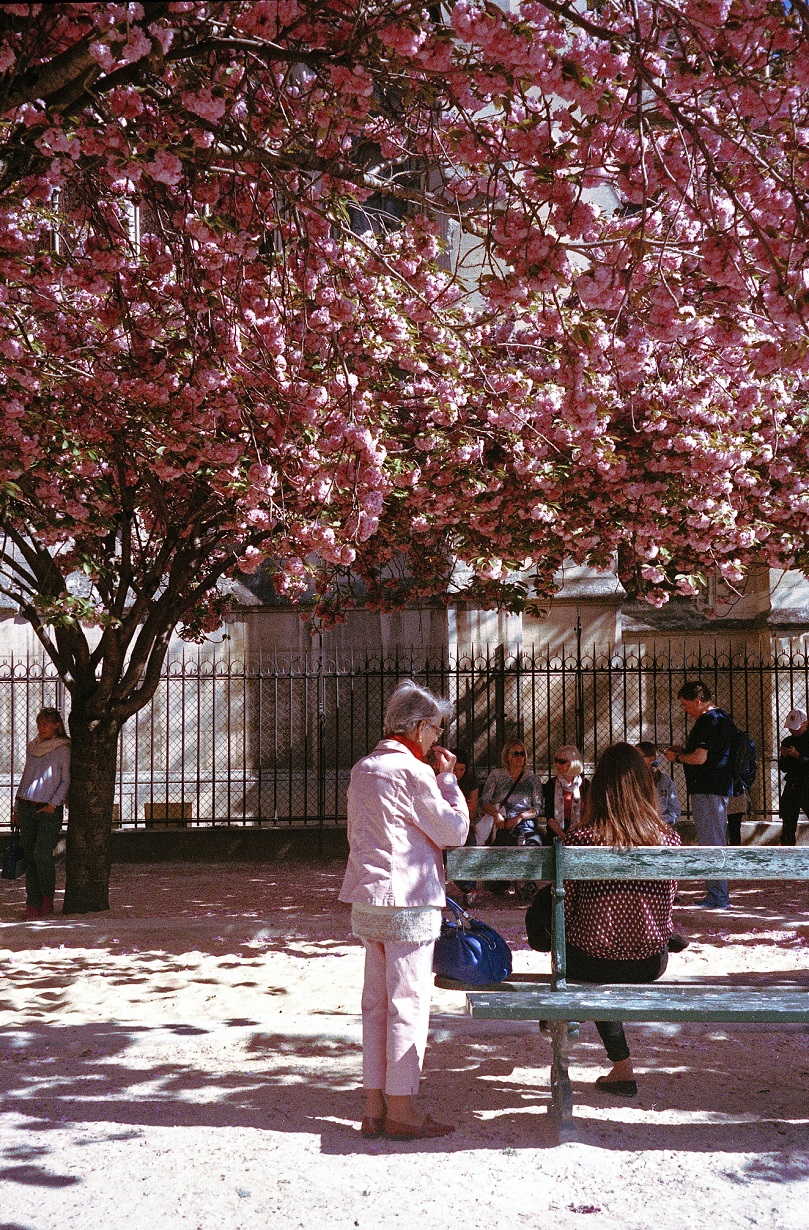 20180328c_ruru_h4.jpg