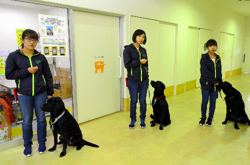 訓練士を目指して研修に取り組む(左から)田辺さん、香村さん、丸岡さん=愛知県長久手市
