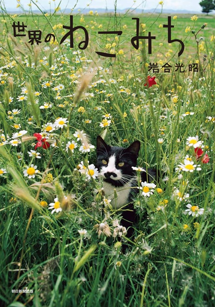 「世界のねこみち」表紙