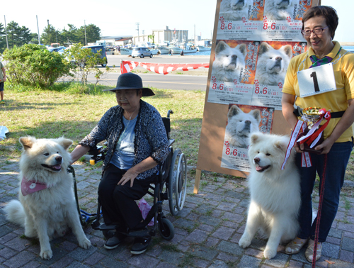 わさお大賞に輝いた「ファーファー」(右)とわさお。飼い主の菊谷節子さんは「立派なワンちゃんで、わさおも喜んでいます」=青森県鰺ケ沢町