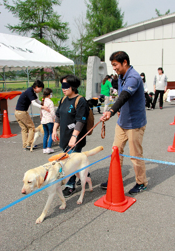 昨年4月の「盲導犬ふれあいデー」。盲導犬について知ってもらおうと啓発活動に力を入れる=東日本盲導犬協会提供