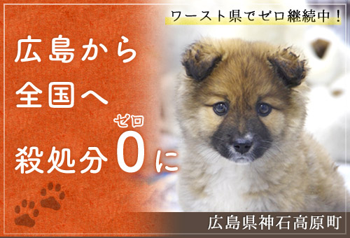 ふるさとチョイスのキャンペーンページのバナー