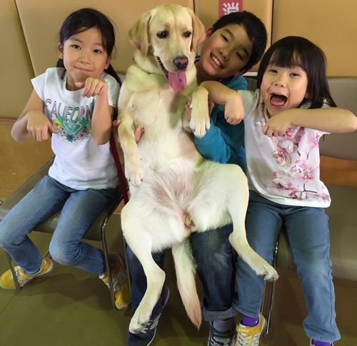 高井家の子供たち(梨花子ちゃん、龍大君、恵ちゃん)と仲良しになったサンディ
