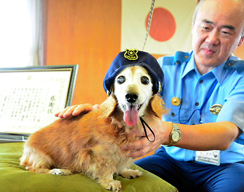 堀睦司・滑川署長から感謝状を贈られたルーシー=富山県滑川市加島町