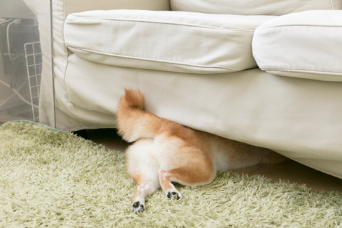ここ、スッゴク気持ちいいの〜