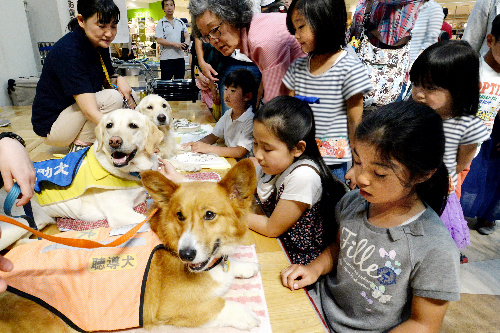 補助犬の仕事をPRする犬たちに触れる子どもたち=5月22日、千葉県市川市