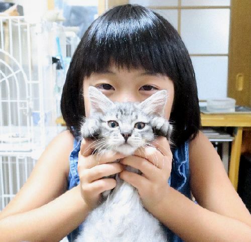 子猫の「小源太」を抱く渚美ちゃん