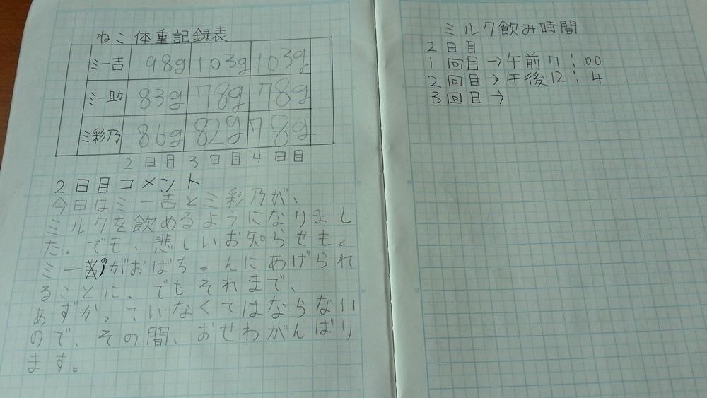 保護してすぐに書きはじめた猫記録表より