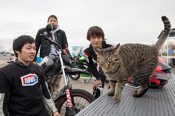 甘えたいトムお。後でコッテリ撫でてもらっていた