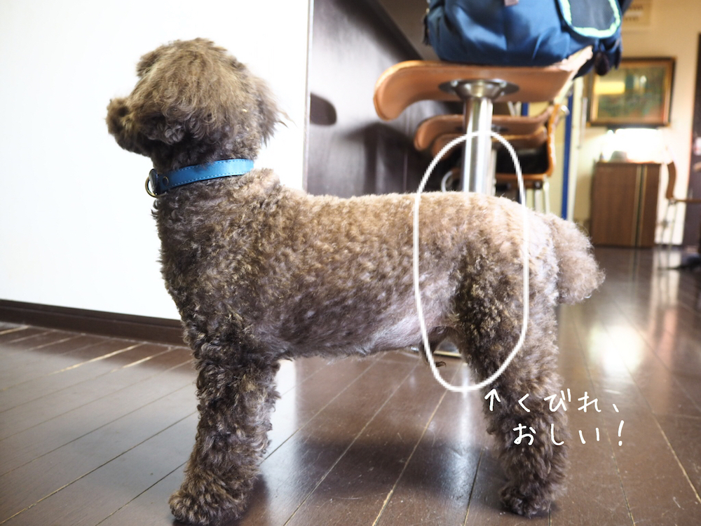 太ってる感じはないけど、くびれは……残念!