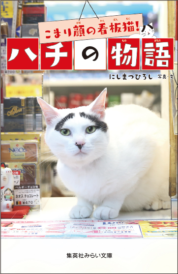集英社みらい文庫 640円(本体)+税