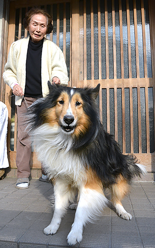 無事に家に戻ったキナコと小瀧鈴枝さん=京都府宇治市
