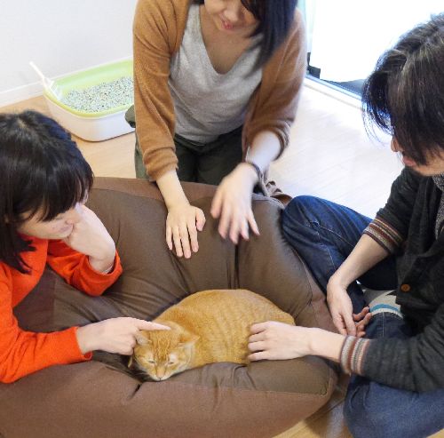 みんなみんな、たまが好き