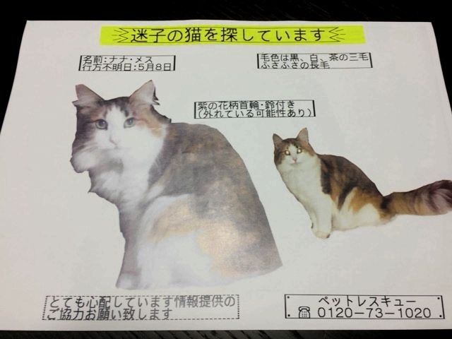 情報提供を呼びかけるチラシ