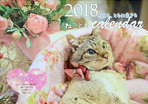 ねこともカレンダーの表紙