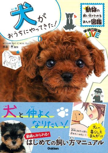 監修 井原亮 本体価格1200円