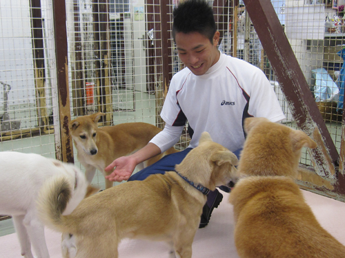犬舎内で保護犬の世話をするインターンの押川昌弘さん