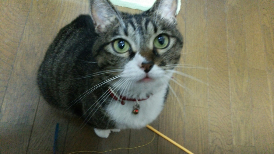 まる