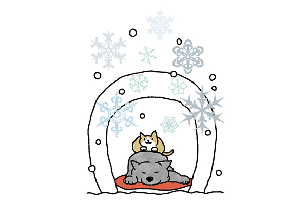 イラストレーション/石川ともこ