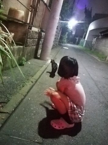 昨年、家族との外出帰りに偶然「痩せた猫」を発見(亜子さん撮影)
