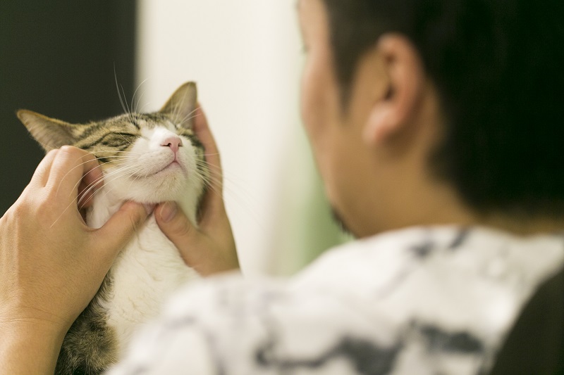 全身チェックは2匹にとって至福の時間