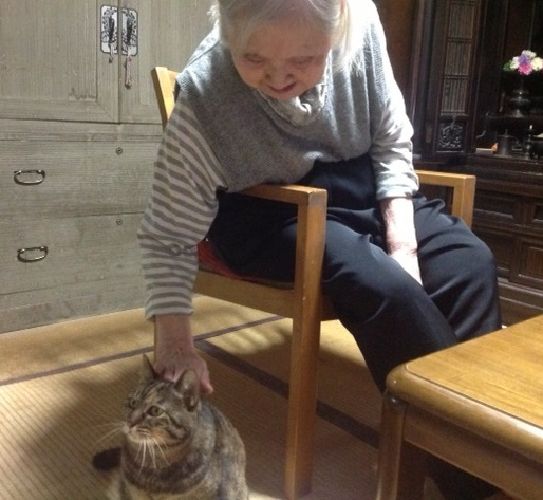 お母さんは、家に来たばかりのミーコをすぐに撫で、ミーコも甘えた(写真は2013年)