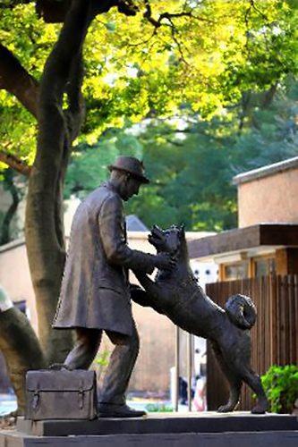 ハチ公と上野英三郎博士(東京都文京区)=東京大学農学部敷地内にハチ没後80年を記念して、2015年3月に建てられた。ハチは上野博士を待っていたという