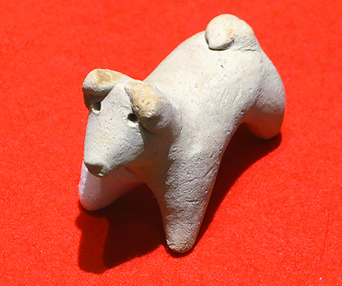広根遺跡(猪名川町)から出土した15世紀前半の犬の土製品。安産のお守りなどとして使われたとみられる=兵庫県立考古博物館