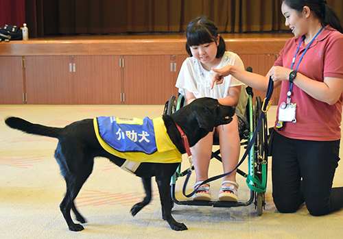 子どもたちは車いすで落とした物を介助犬に拾ってもらう体験もした=千葉県横芝光町文化会館