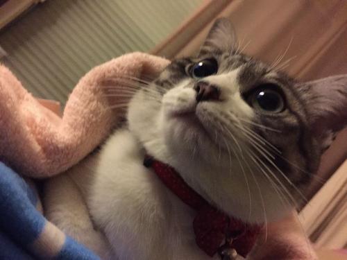 むっちりKちゃん