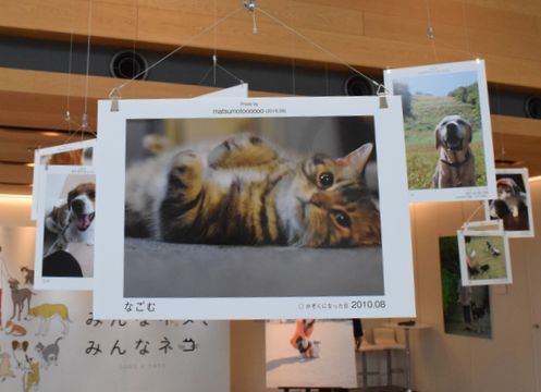 「みんなイヌ、みんなネコ」(昨年9月、東京都渋谷区)